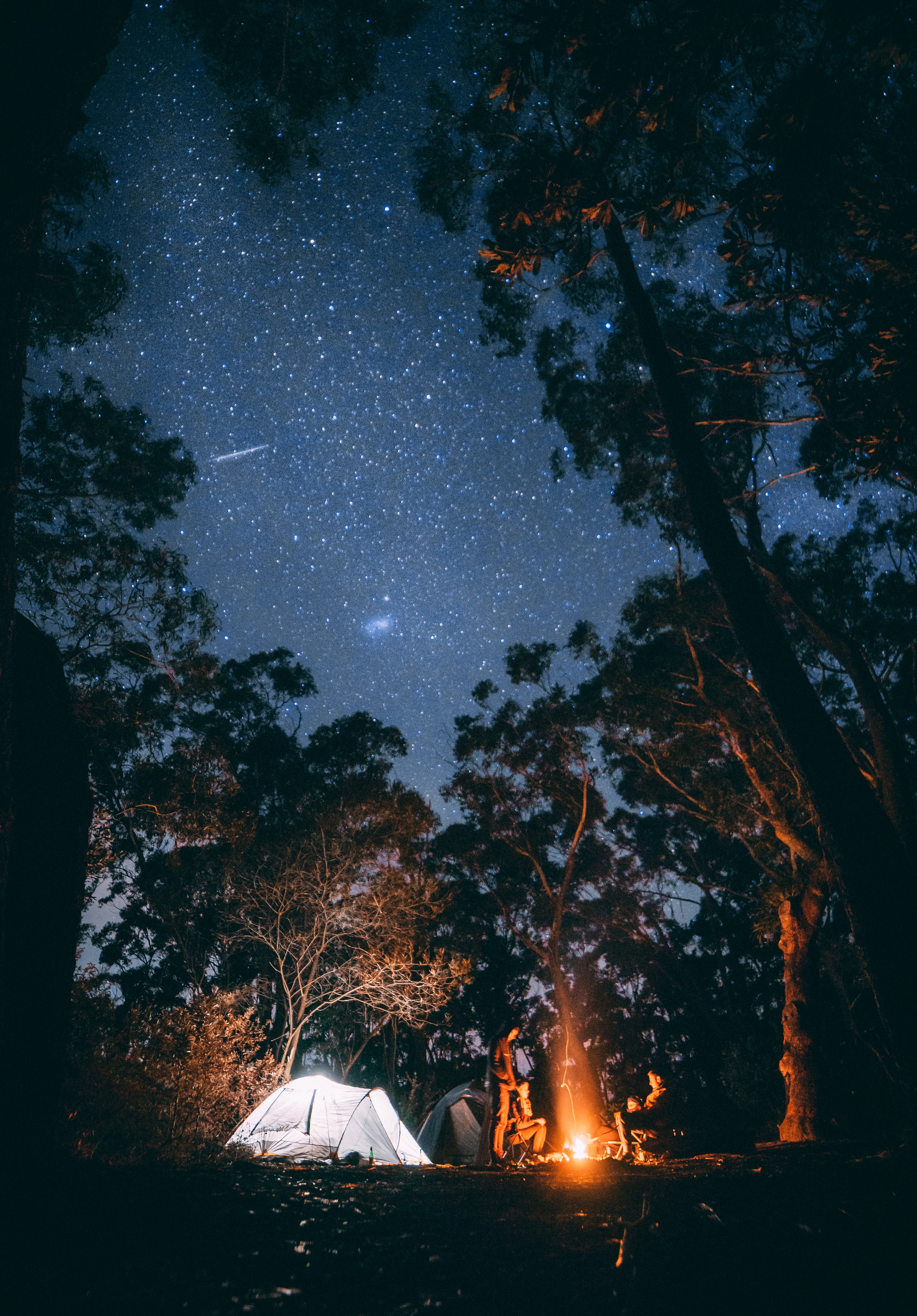 tent in the forest at night