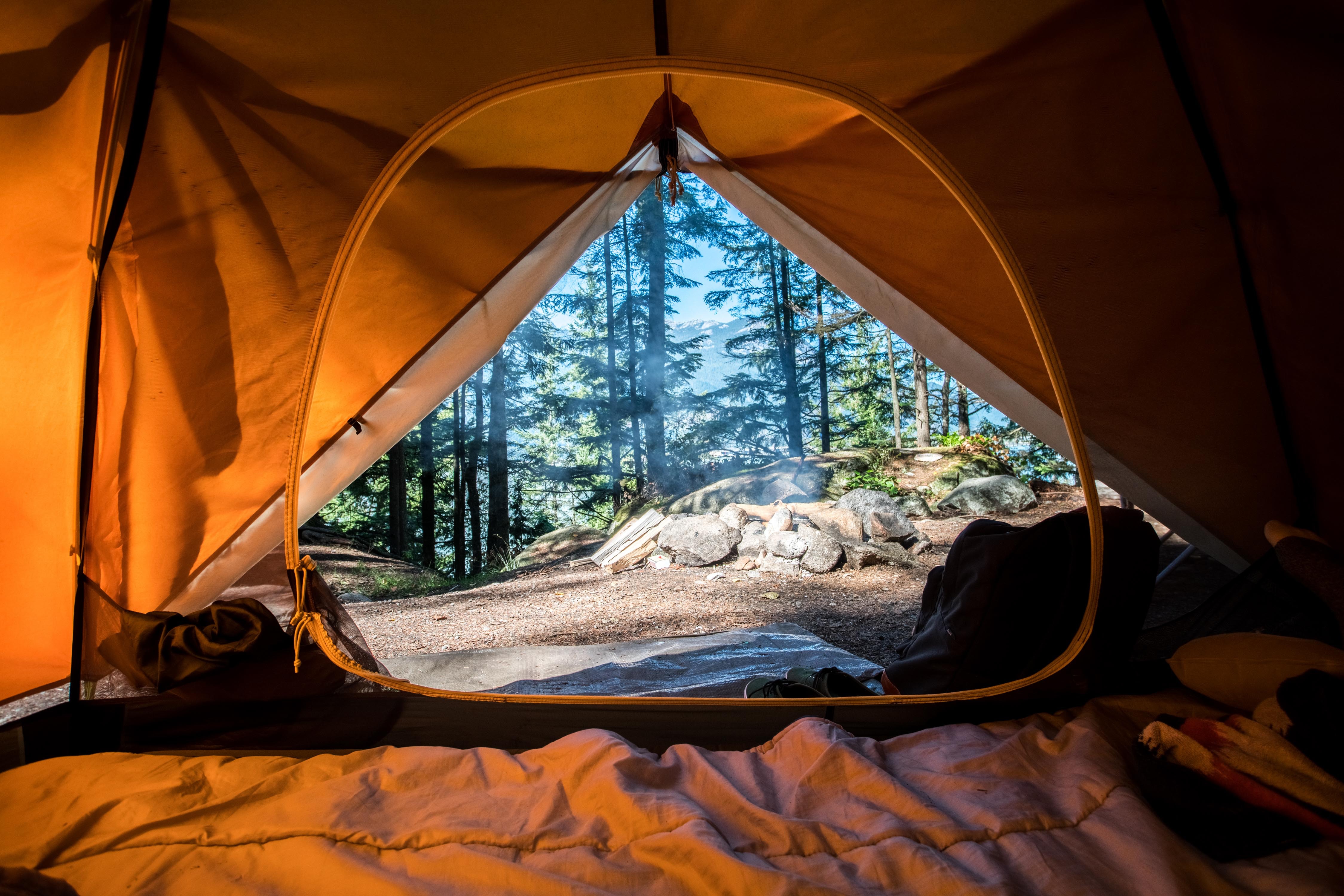 forest view from a tent