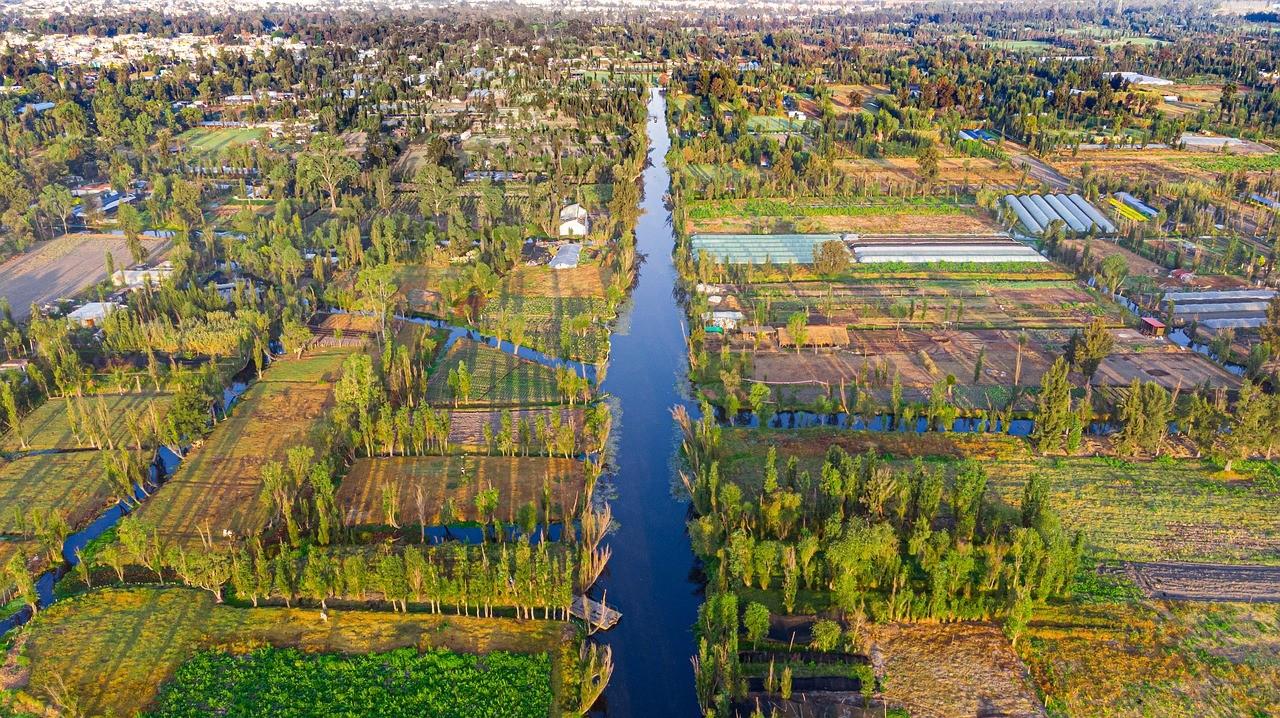 Lake Xochimilco 