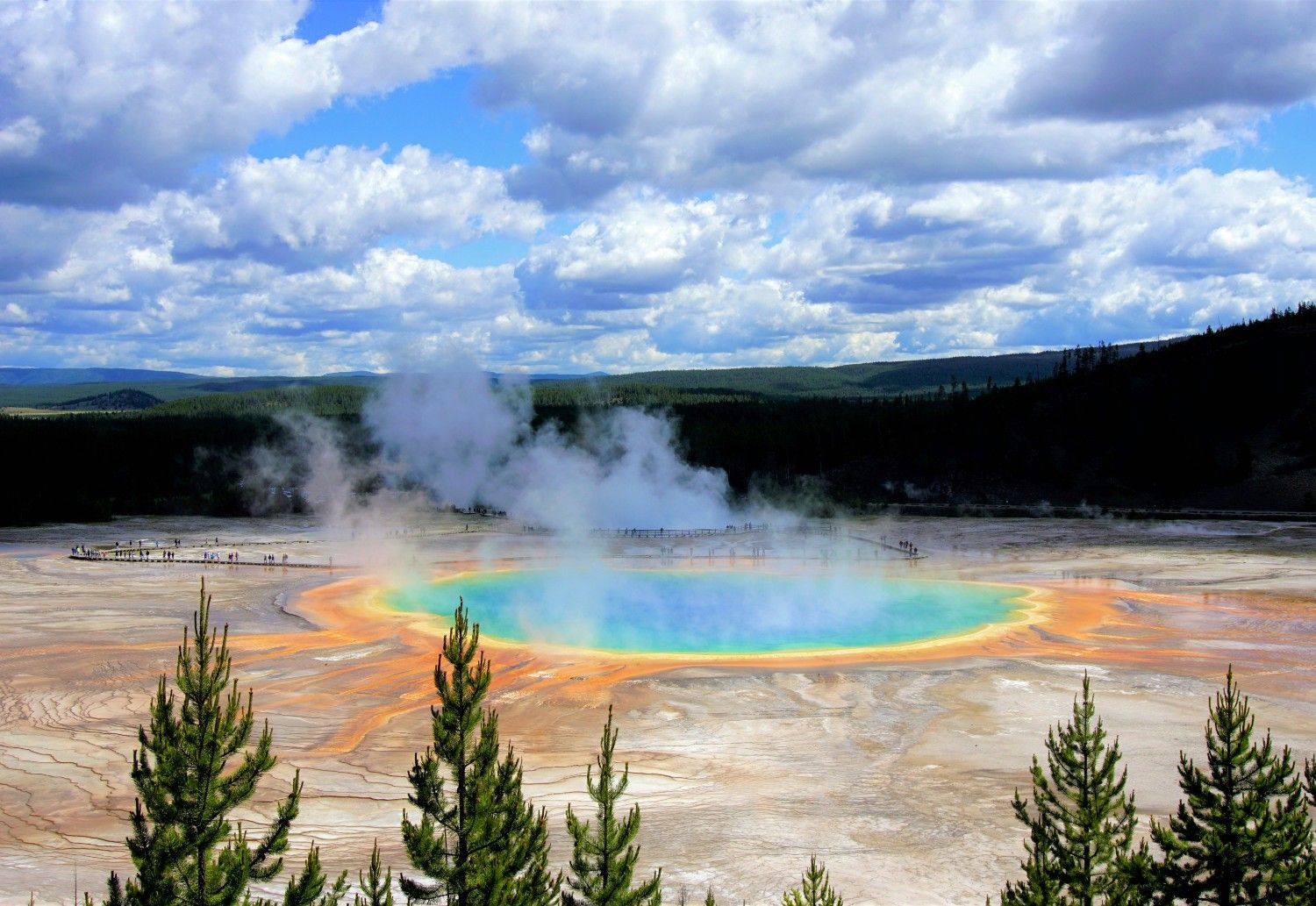 Yellowstone's Geysers