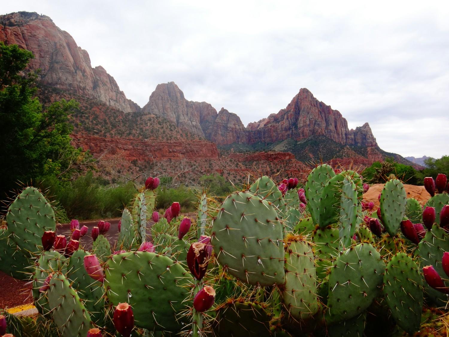 Zion National Park