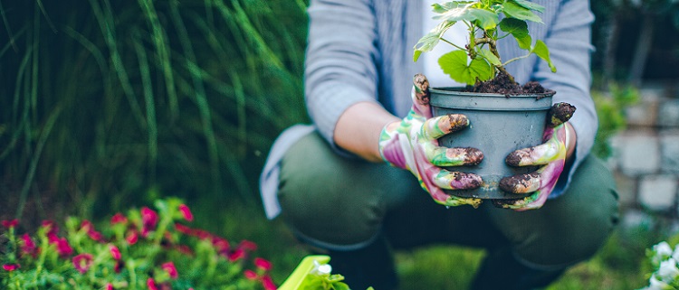 gardening-tips-with-the-national-trust-cotswold-outdoor